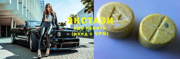 ECSTASY Гусь-Хрустальный