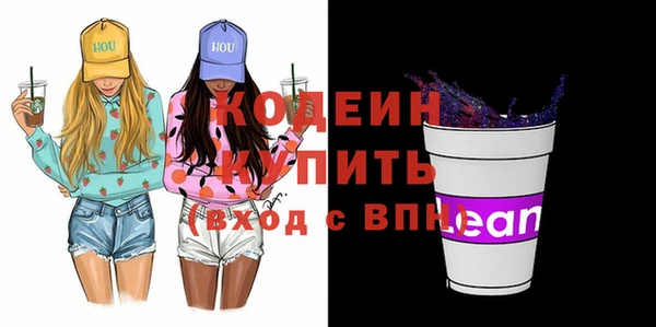 ECSTASY Гусь-Хрустальный