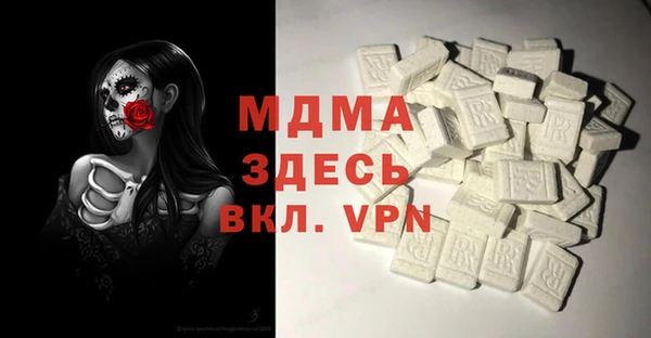 ECSTASY Гусь-Хрустальный