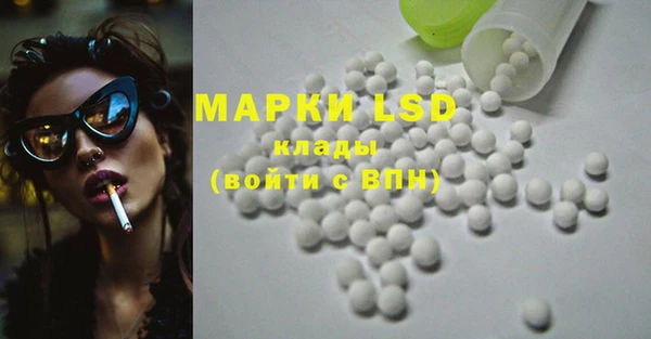 ECSTASY Гусь-Хрустальный