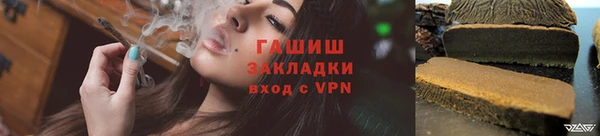 ECSTASY Гусь-Хрустальный