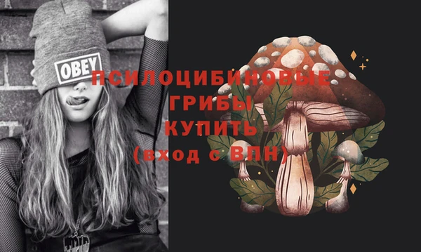 ECSTASY Гусь-Хрустальный