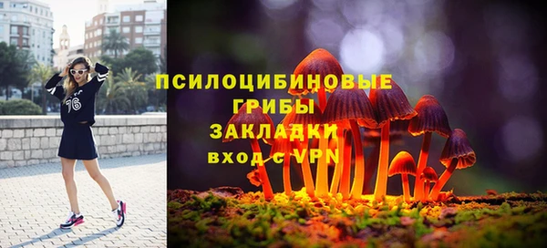 а пвп мука Гусев