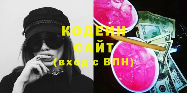 ECSTASY Гусь-Хрустальный