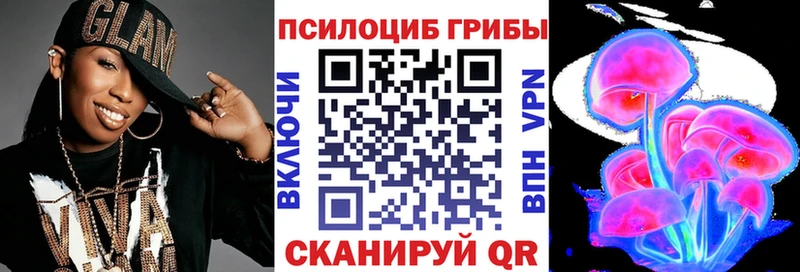 Купить  Петровск-Забайкальский  Галлюциногенные грибы GOLDEN TEACHER 
