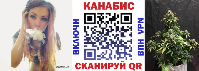 Марихуана OG Kush Купить где Петровск-Забайкальский